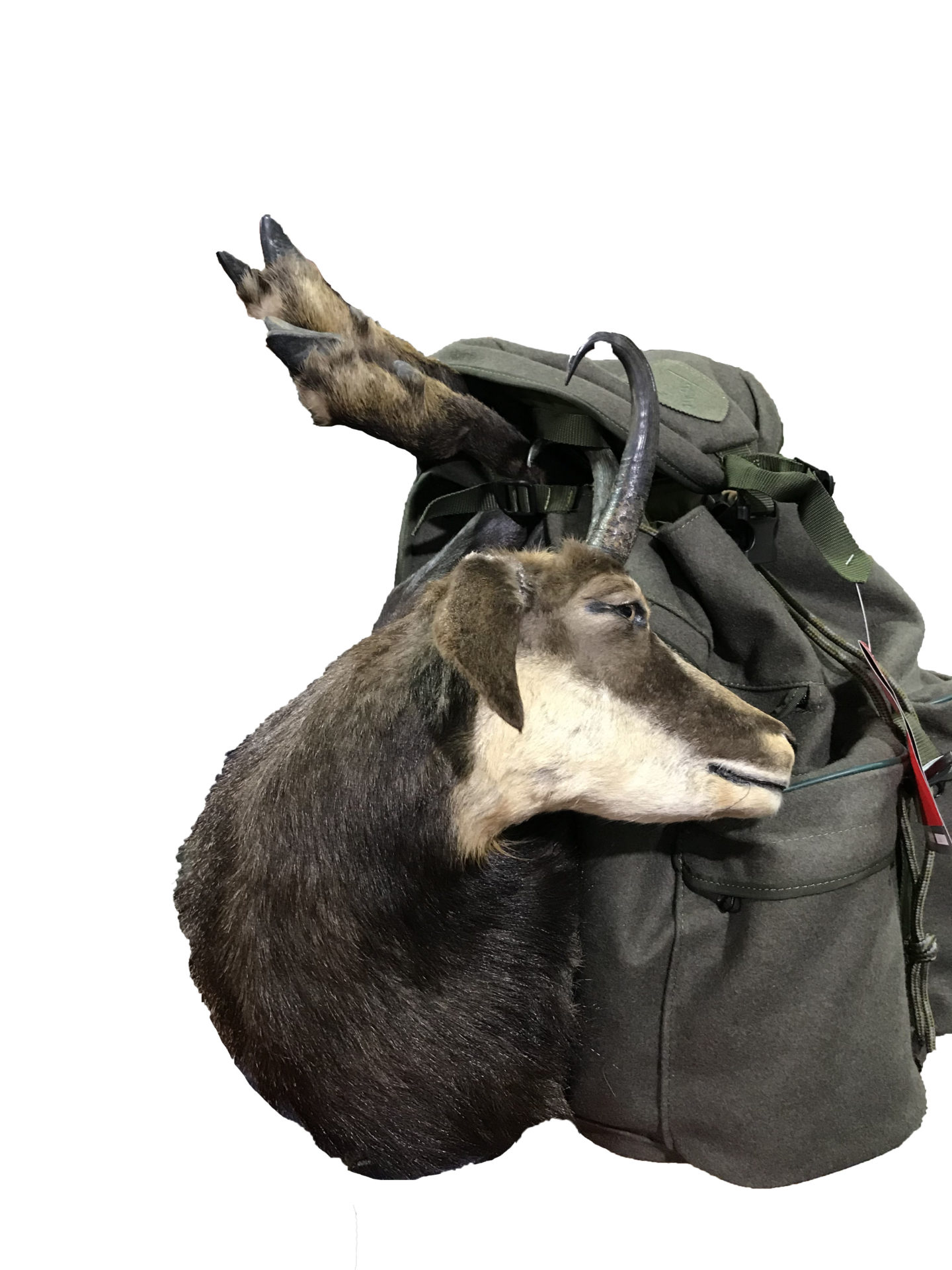 Zaino Rucksack sloveno loden REST 33lt - Brunel Sport