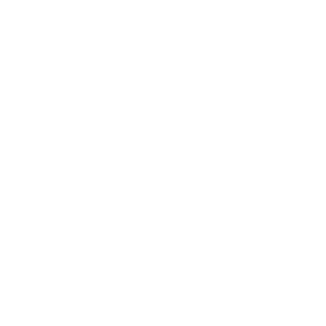 Brunel Sport